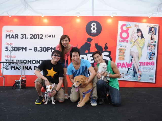 Pets N The City Singapore | I Light Festival | HoneyKids Asia