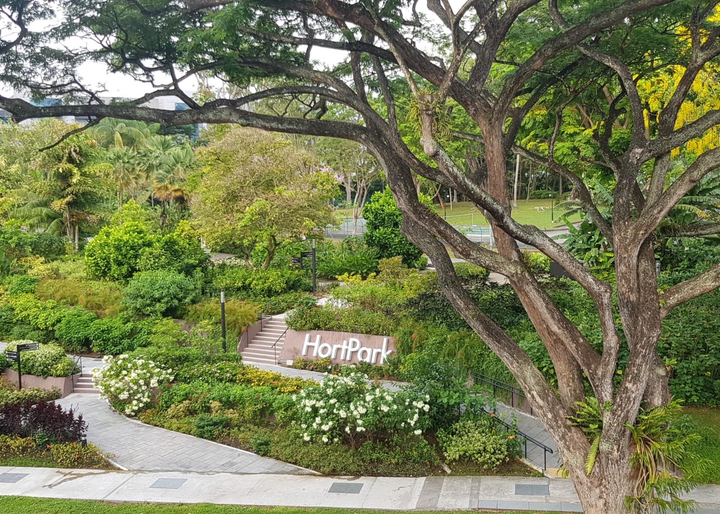 southern ridges hort park