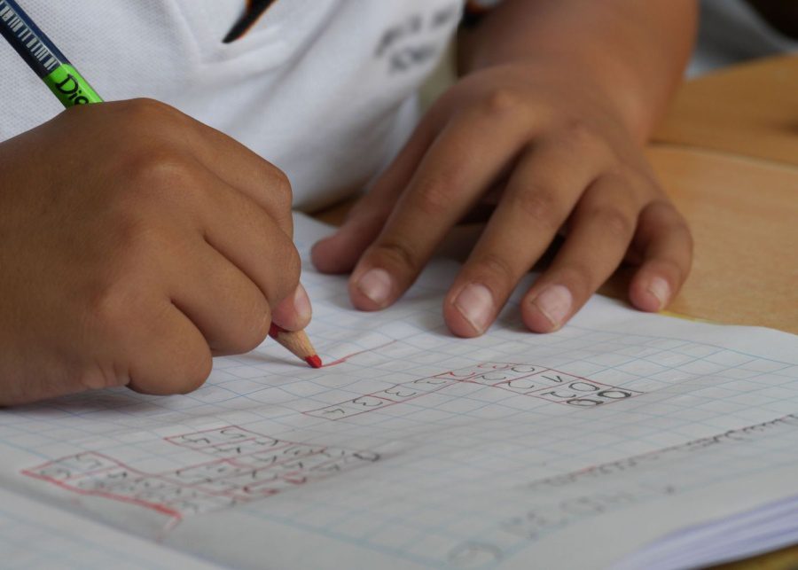 mother tongue homework