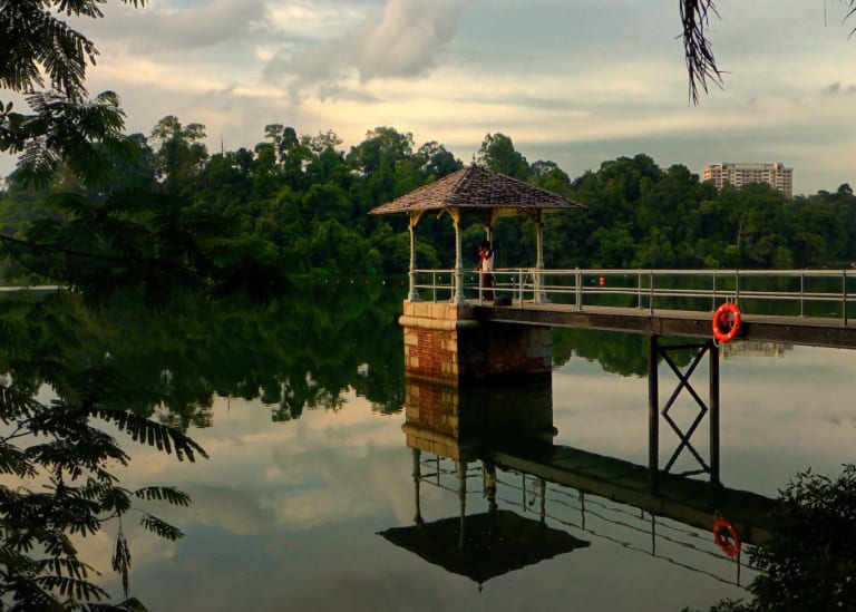 Nature reserves in Singapore: Four parks for trails and wildlife