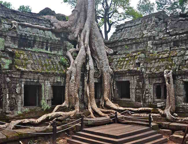 The amazing if a little creepy Ta Prohm, home of the Tomb Raider set!