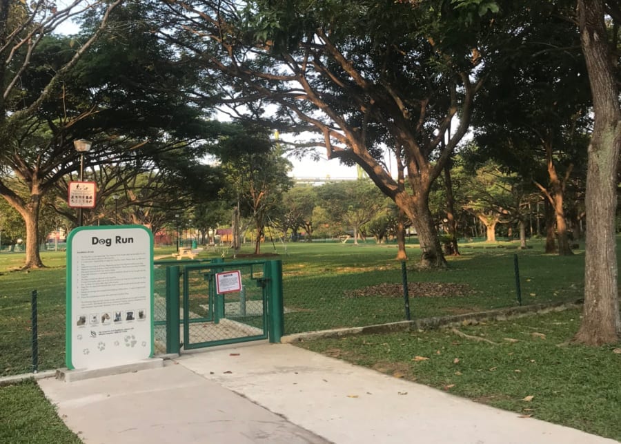 dog friendly places in singapore: west coast park