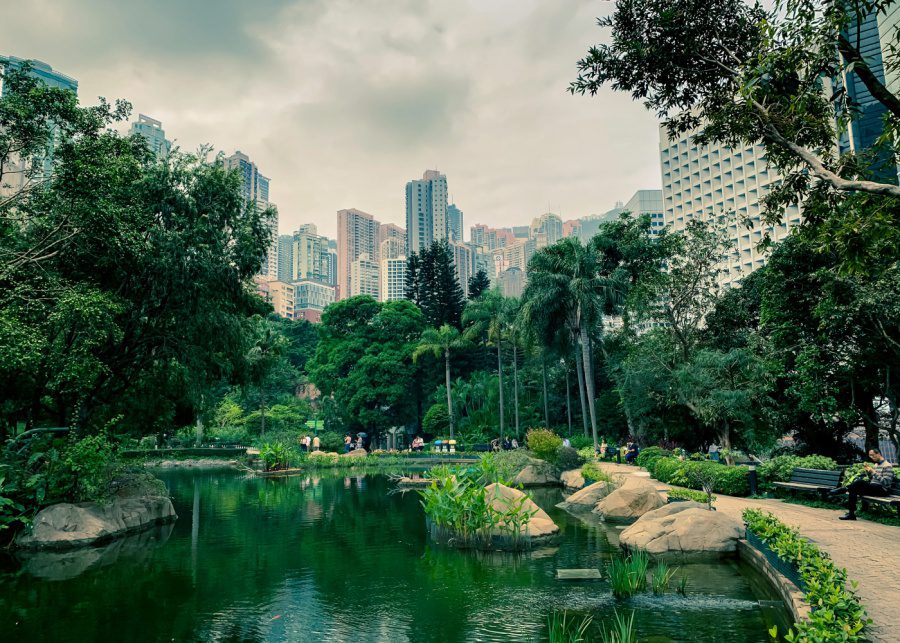 hong-kong-park-kids-senor-ashraf-unsplash