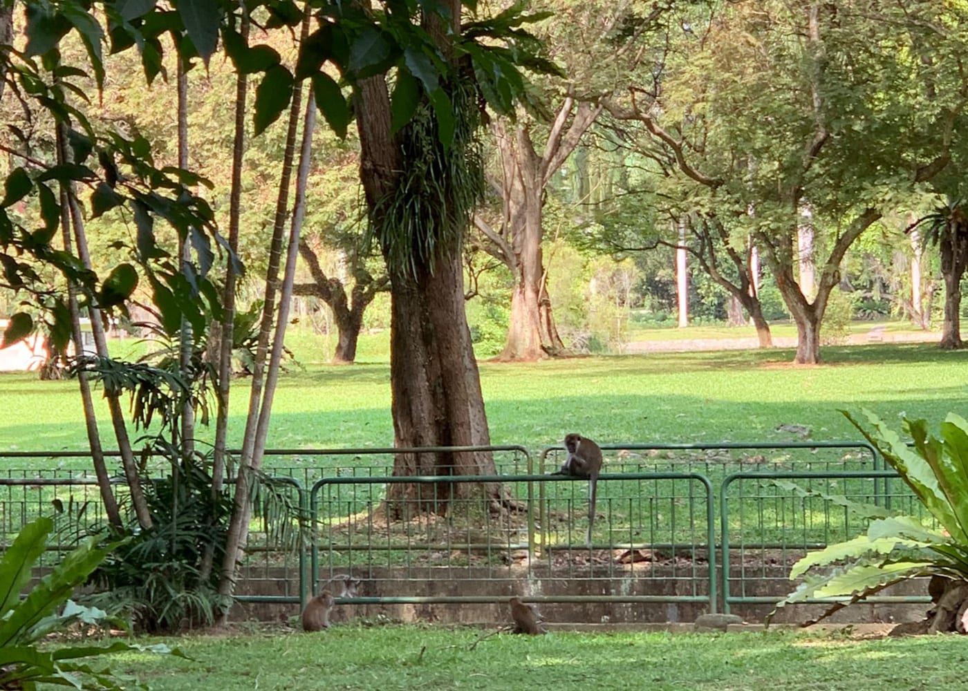 west coast park singapore