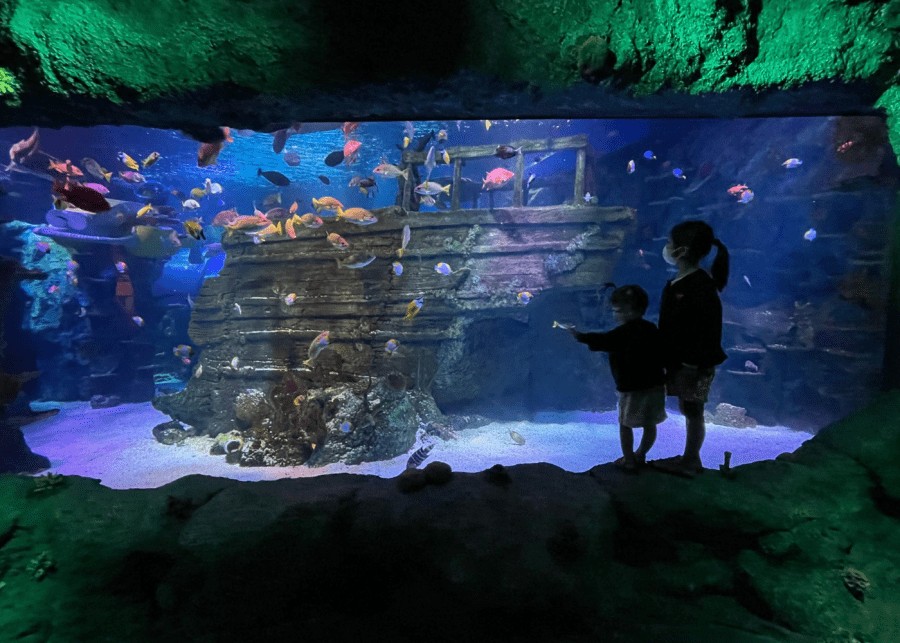 Legoland Malaysia theme park Aquarium tank