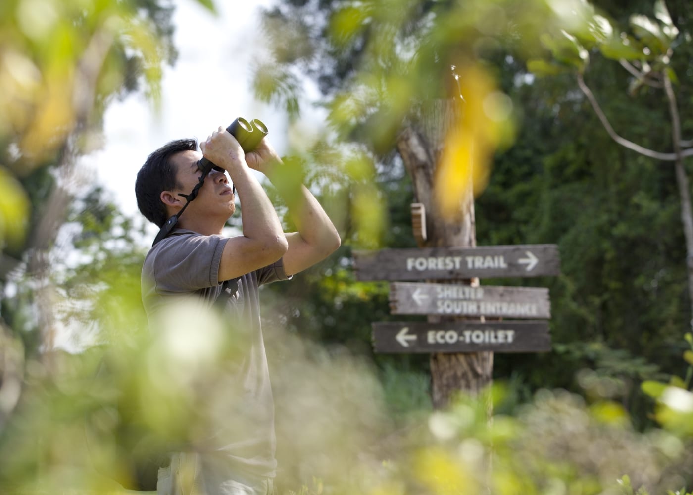 Tampines Eco Green bird watching green spaces nature