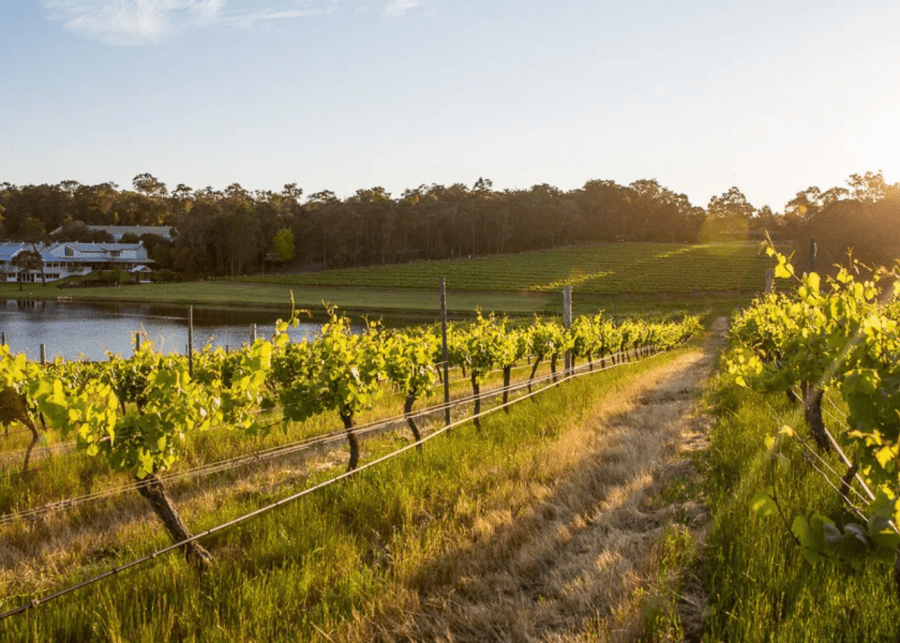 Margaret River winery with kids