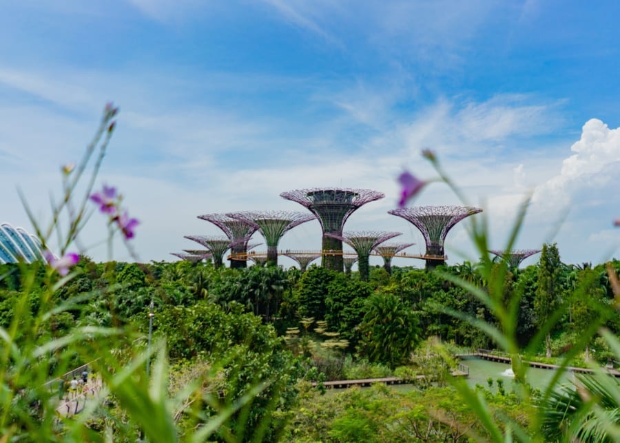 Gardens by the Bay | Best playgrounds and parks in Singapore for kids of all ages