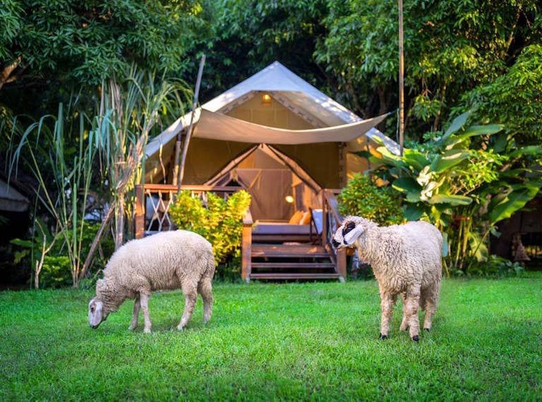 Glamping in Asia with the kids: Family adventures in the great outdoors