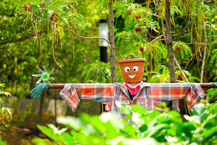 HortPark honeykids asia prettiest parks