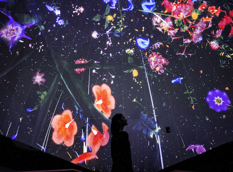 Exhibits for kids: The Glass Rotunda at National Museum of Singapore