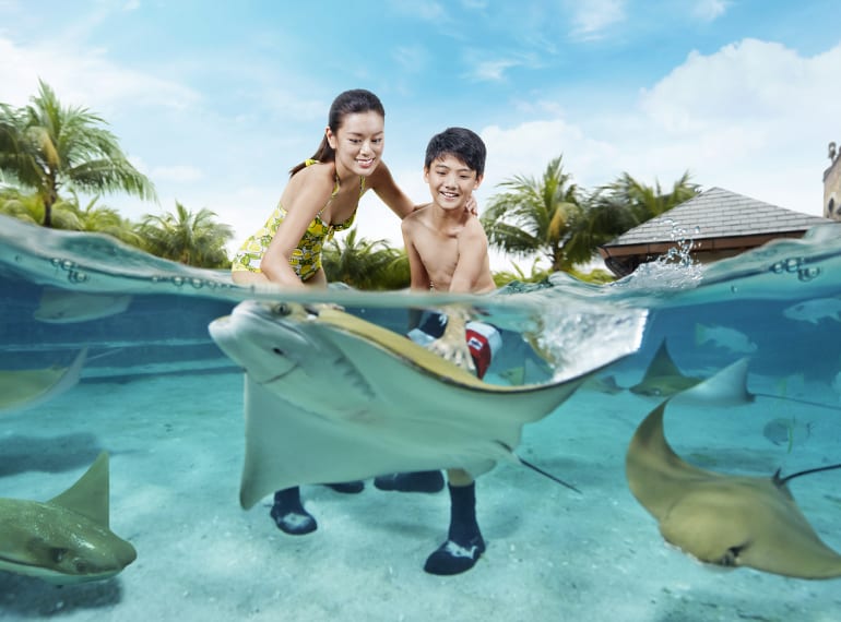 Honeykids Asia RWS Aquarium