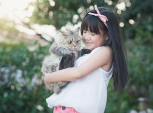 Guide to owning an animal in Singapore: Is your family ready for a pet?