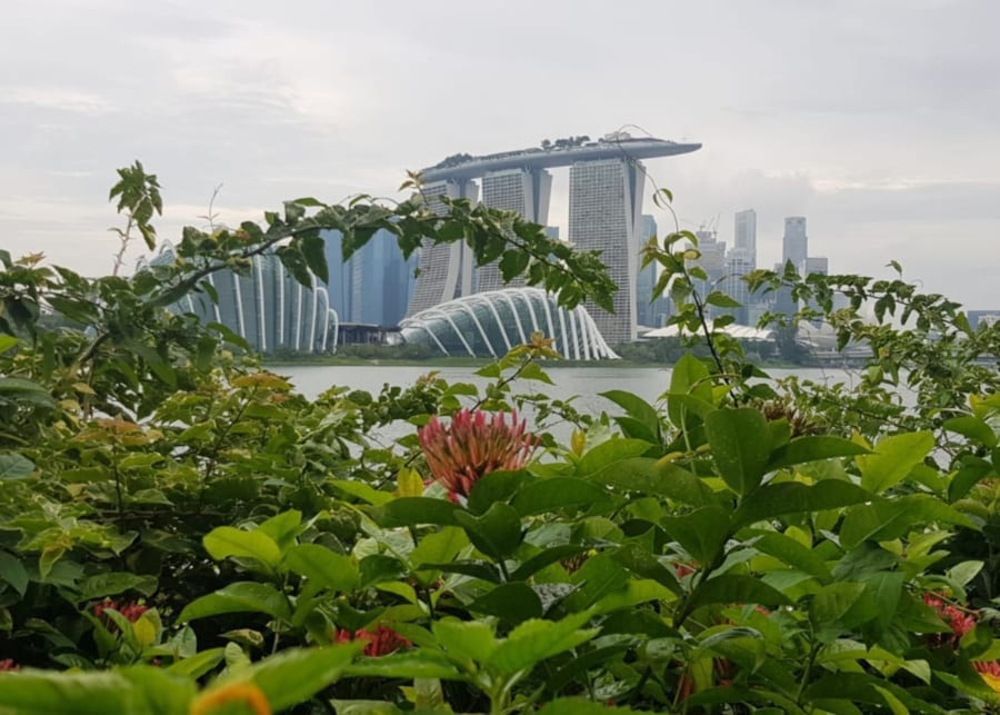 marina barrage walk cycling in singapore