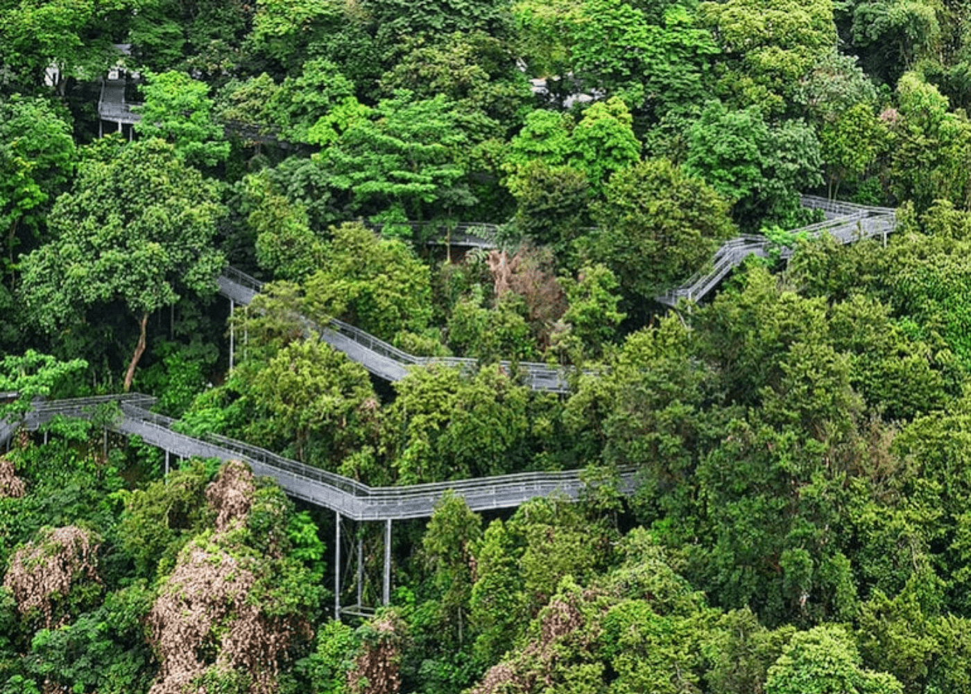 Southern Ridges where to go hiking with kids in Singapore