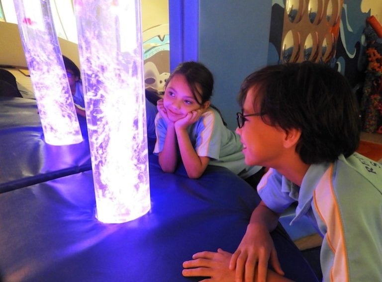 International schools in Singapore that offer learning support to students