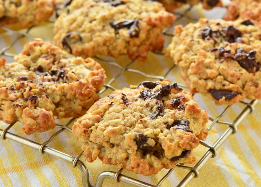 Lactation cookie recipes