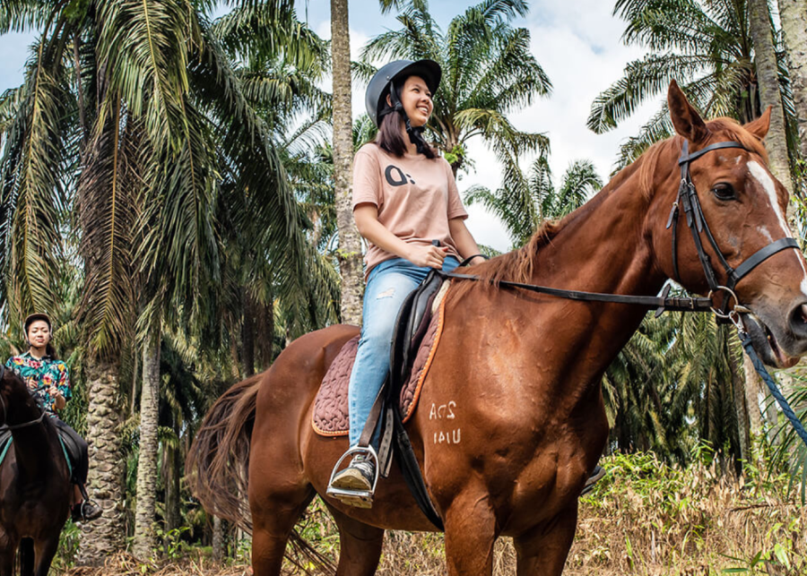 Horse riding in Singapore where to bring the kids for lessons & rides
