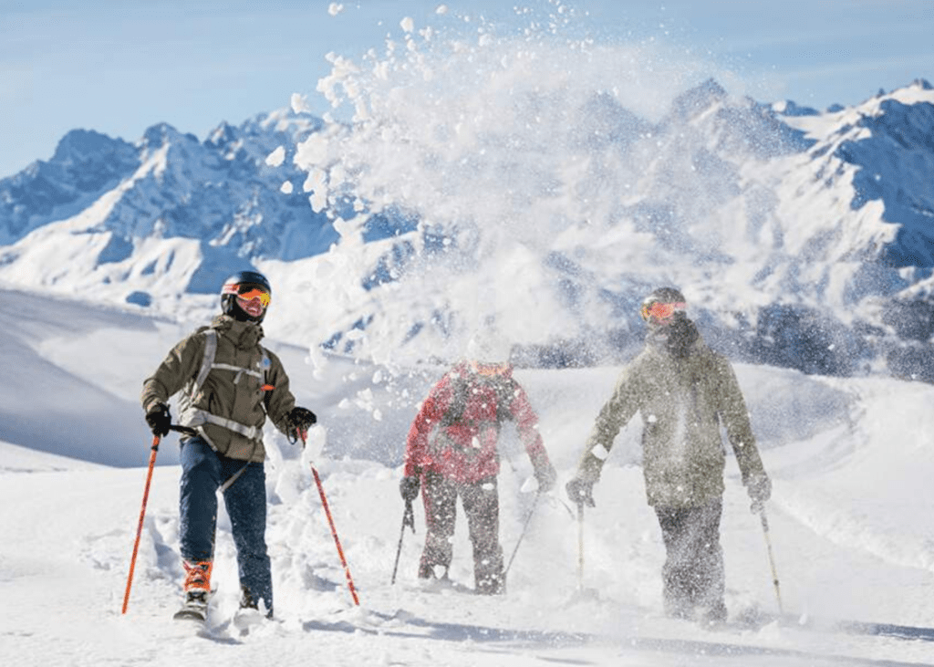 skiers in the snow 