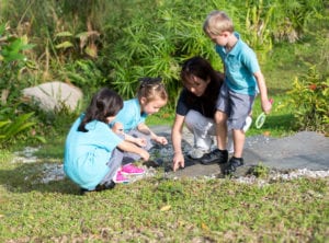 International schools in Singapore with eco-friendly ethics and green spaces