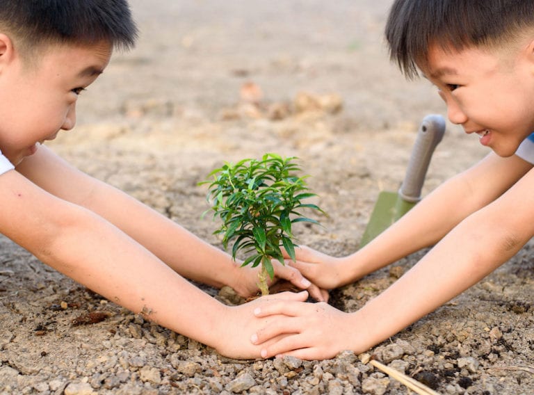 Urban gardening in Singapore: Get your city kids planting and growing their own food
