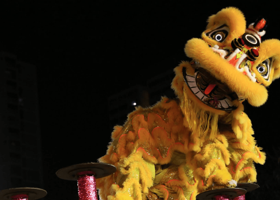 lion dance beginner's guide to chinese new year