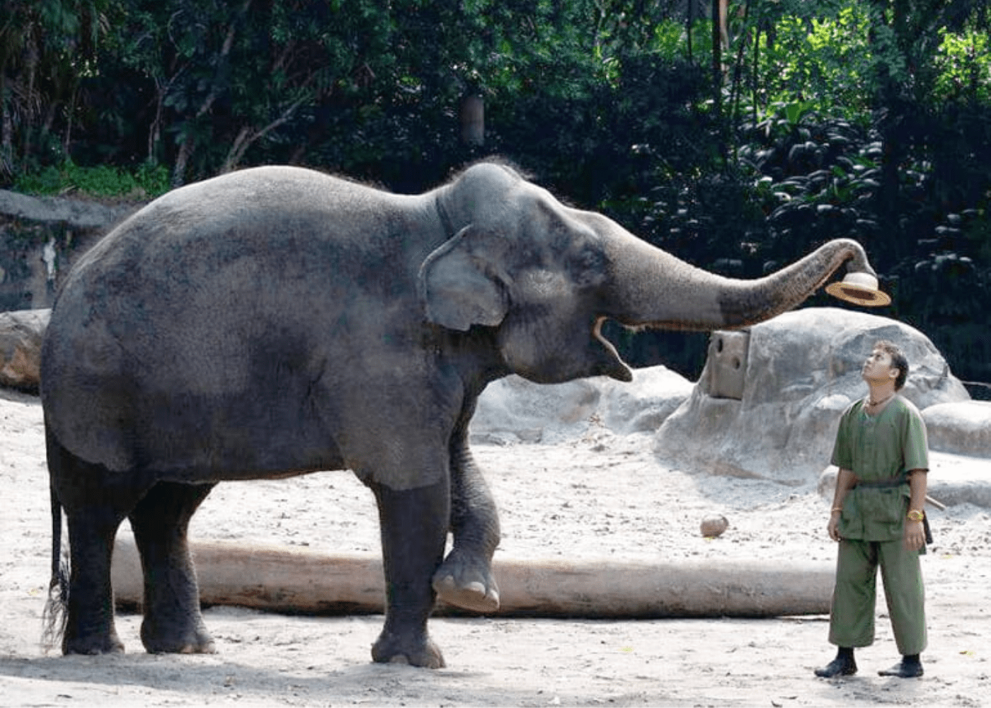 Singapore annual pass membership deals for families in 2024