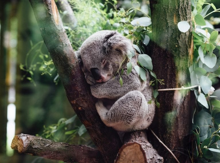 New mum blues: How to survive sleepless nights