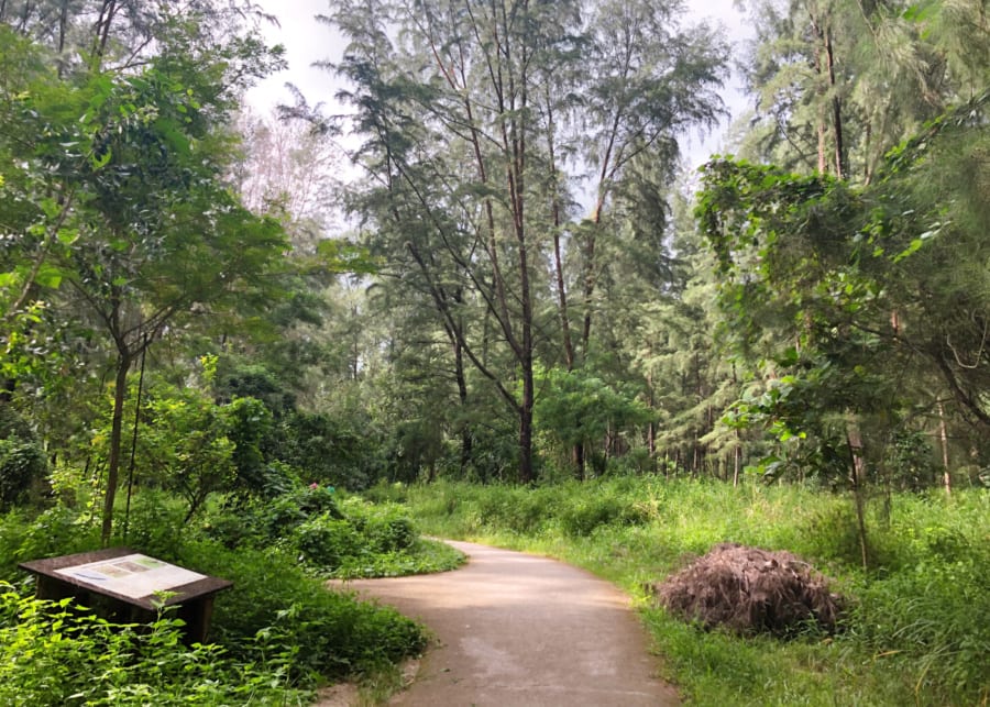 coney island singapore trails