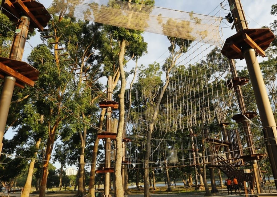 best-kids-birthday-party-venues-in-singapore-forest-adventure