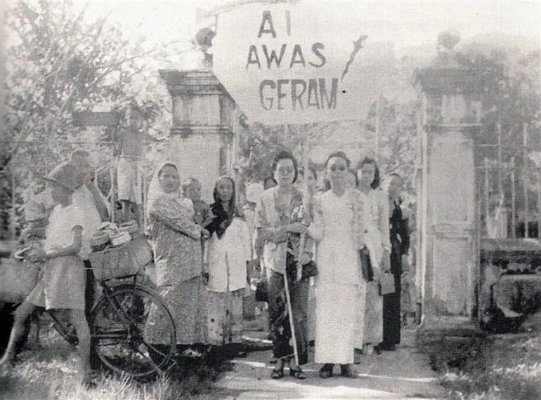 Malay Pioneer Series Women In Action Honeykids Asia