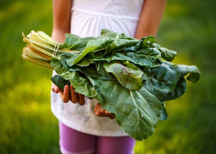 Kid holding vegetable