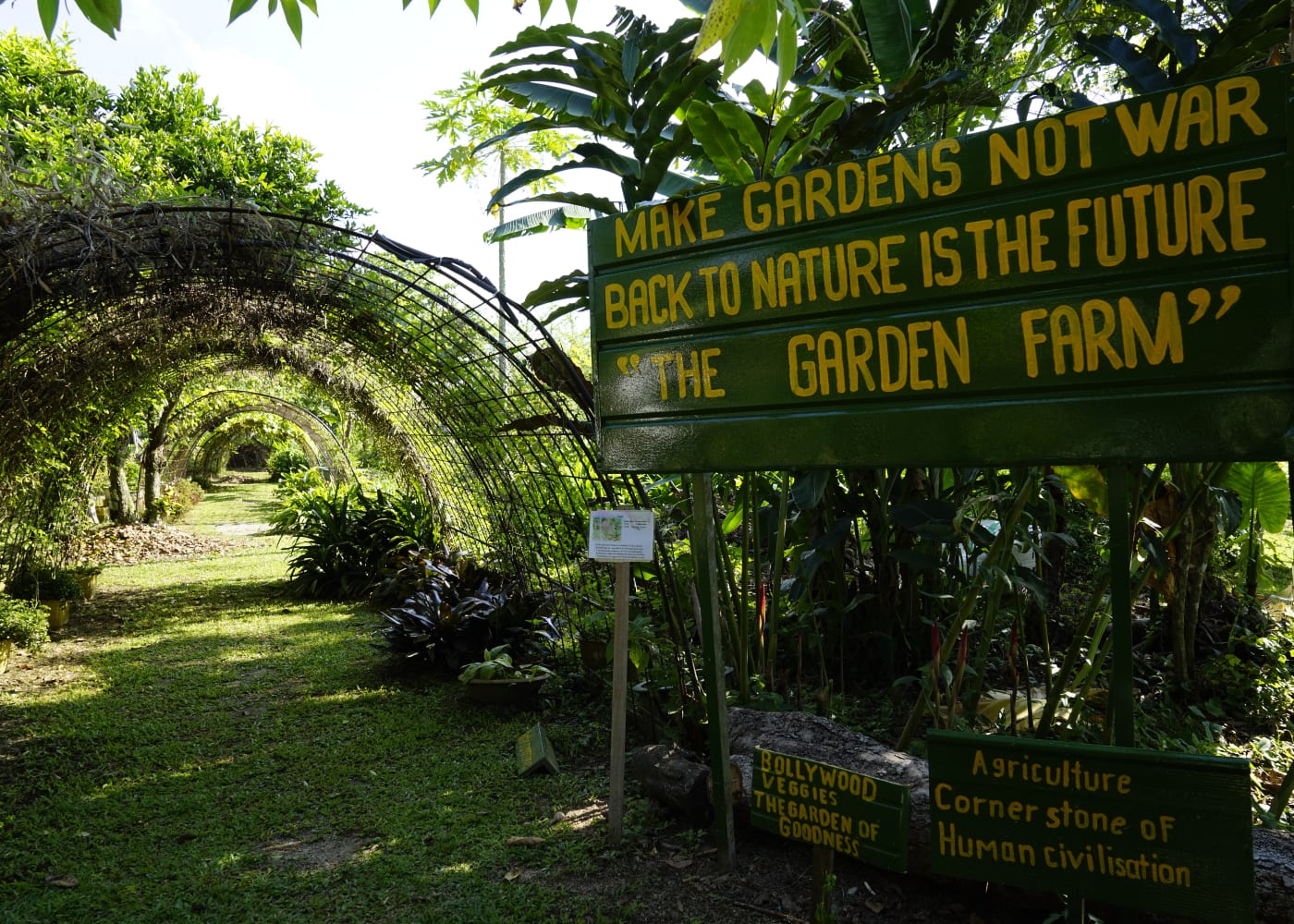 Bollywood Veggies farm