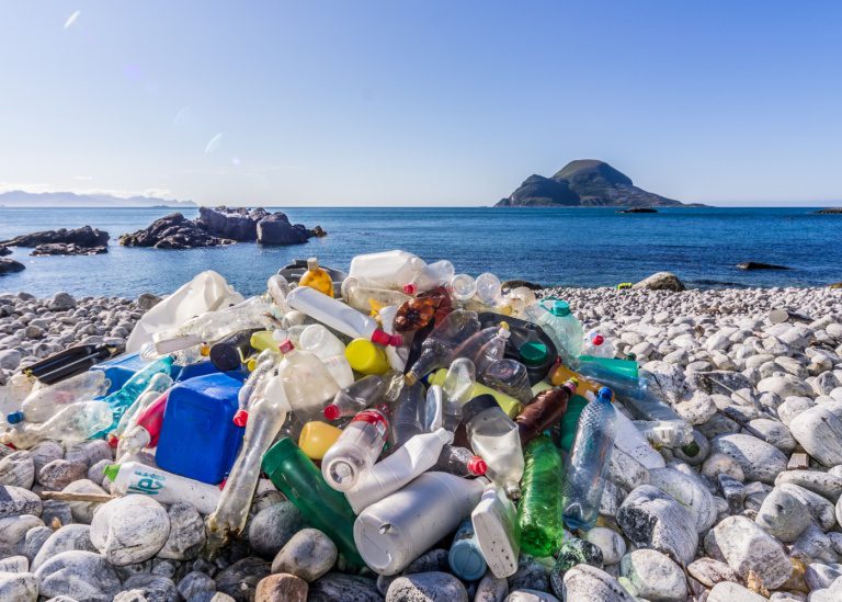 Just say no! How to reduce plastic waste in Singapore HoneyKids Asia