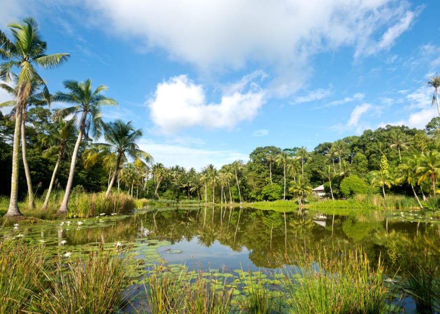 Ultimate guide to Pulau Ubin: How to get there & all the fun things to do with kids in tow!