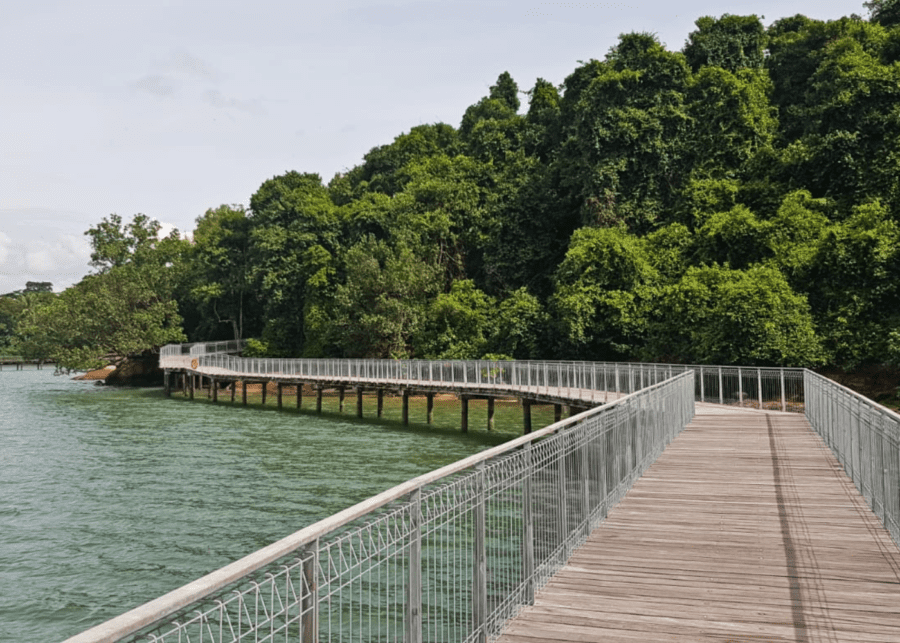 coastal boardwalk chek jawa