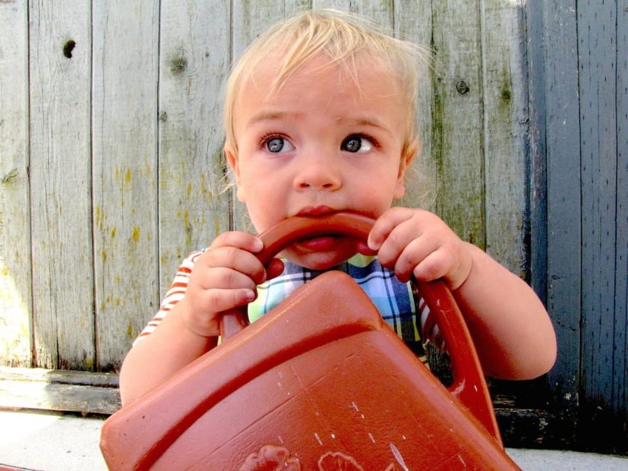 Toddler biting