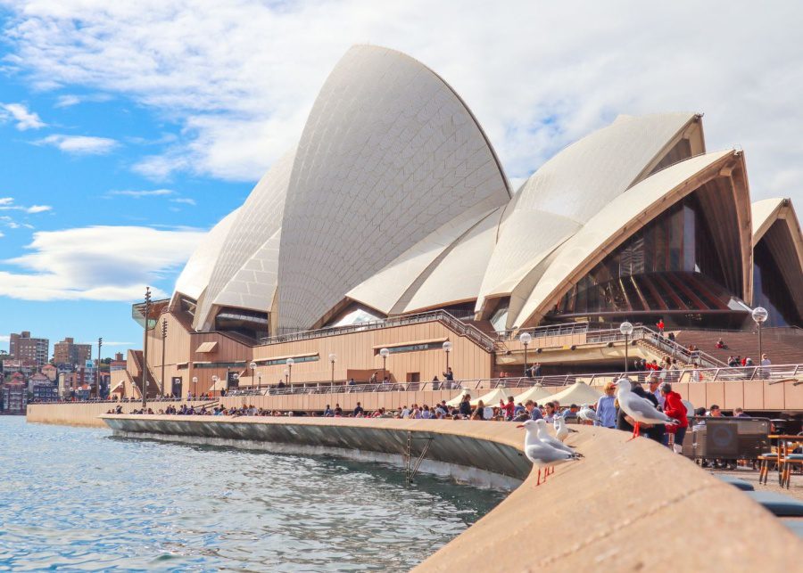 Sydney with kids: All the best ideas for your next family holiday in the Harbour City