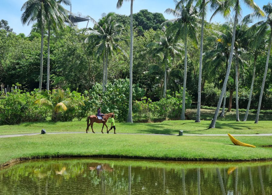 nirwana-bintan-horseriding