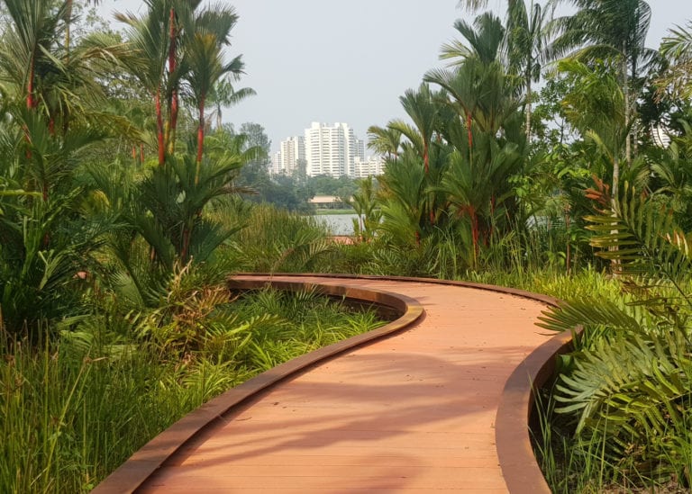 Your family-friendly guide to Jurong Lakeside Garden with kids: what to do, where to play and what to see
