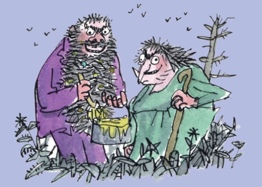 The Twits | Roald Dahl