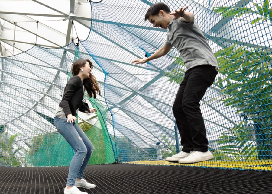 canopy park sky nets