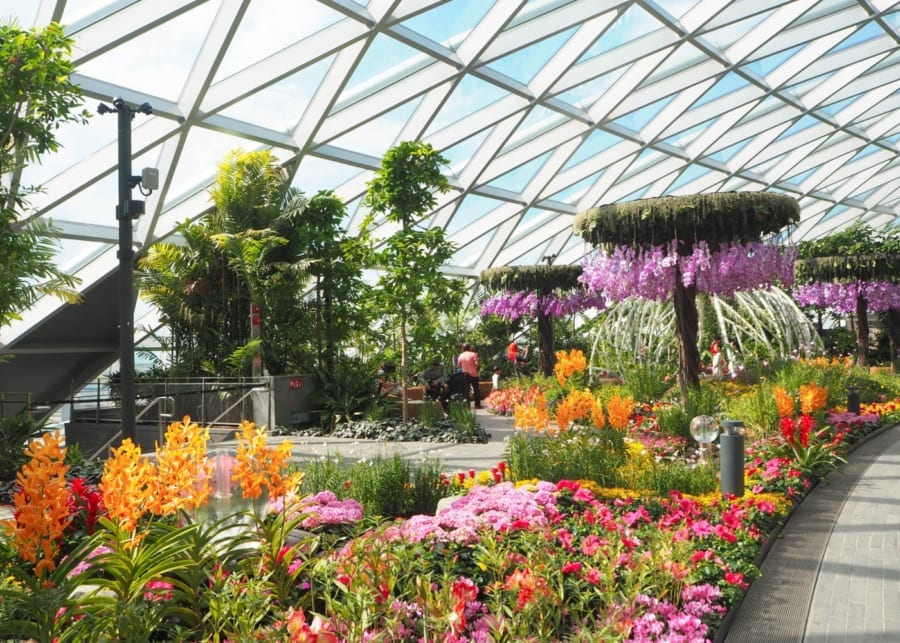 canopy park petal garden