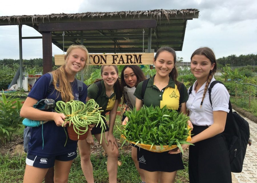 marlborough college malaysia