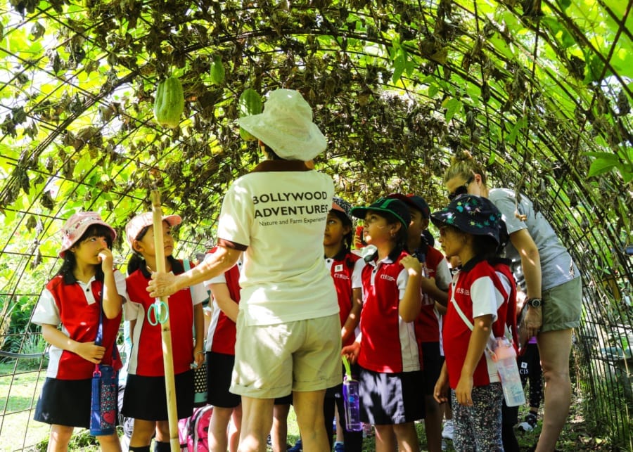 Outdoor learning myths: top schools debunk the biggest misconceptions