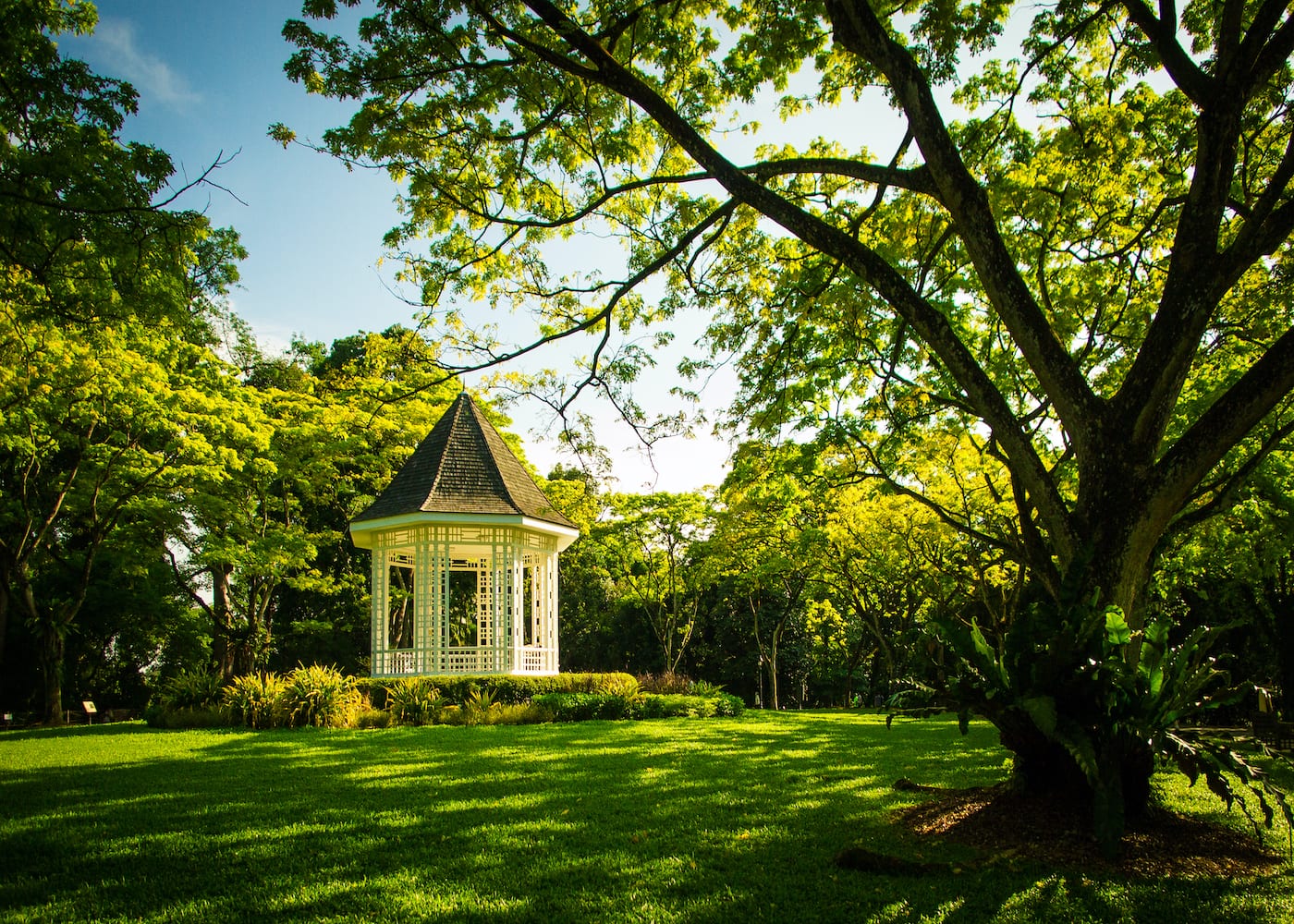 Singapore Botanic Gardens | Nature walk | Your guide to all things kid-friendly on Orchard Road