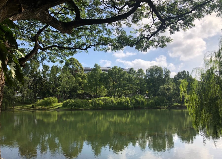 bishan park stroller friendly