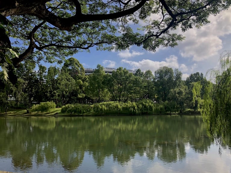 The HoneyKids guide to Bishan-Ang Mo Kio Park: what to do with kids
