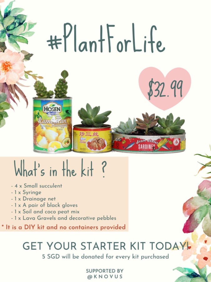 Get your hands on Knovus’s Plant For Life Succulent Kit