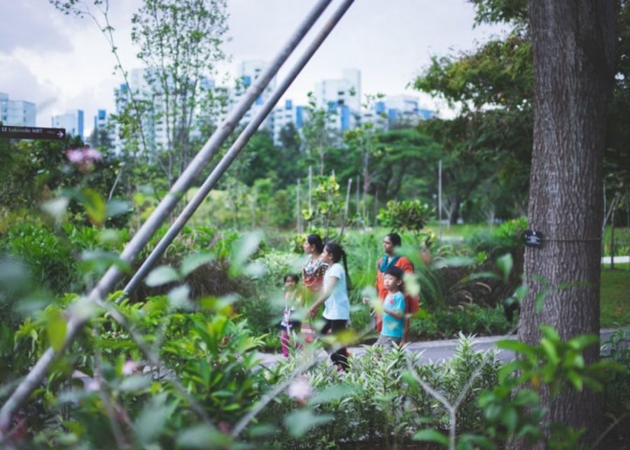 Your family-friendly guide to Jurong Lake Gardens with kids: what to do, where to play and what to see